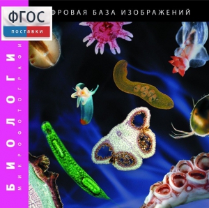 Биология. Микрофотографии. (Цифровая база изображений) - fgospostavki.ru - Нижневартовск