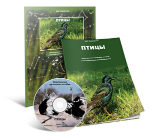 Электронное наглядное пособие «Птицы» - fgospostavki.ru - Нижневартовск