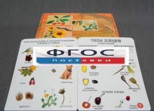 Коллекция "Семена и плоды" - fgospostavki.ru - Нижневартовск
