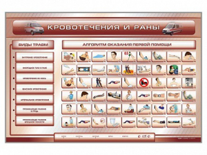 Трехсекционный базовый комплект "Травмы. Кровотечения. Ожоги" для учащихся общеобразовательных учреждений - fgospostavki.ru - Нижневартовск