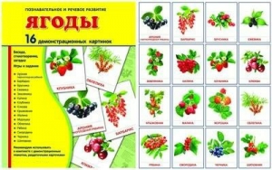 Демонстрационные карточки "Ягоды" - fgospostavki.ru - Нижневартовск