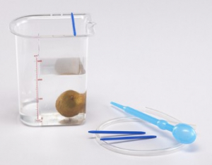 Сосуд Архимеда - fgospostavki.ru - Нижневартовск