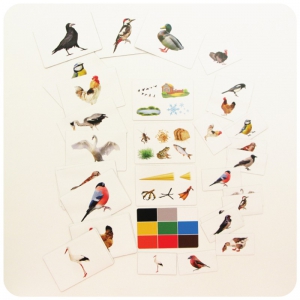 Набор магнитных карточек "Загадки-отрицания". Птицы - fgospostavki.ru - Нижневартовск