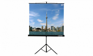 Проекционный экран на штативе Lumien Eco View (LEV-100105) 160x160 см - fgospostavki.ru - Нижневартовск