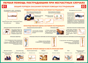 Таблица "Общий порядок оказания первой помощи пострадавшим" (100х140 сантиметров, винил) - fgospostavki.ru - Нижневартовск