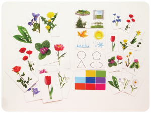 Набор магнитных карточек "Загадки-отрицания". Цветы - fgospostavki.ru - Нижневартовск