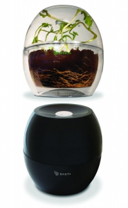 Набор для выращивания растений на свету и в темноте - fgospostavki.ru - Нижневартовск