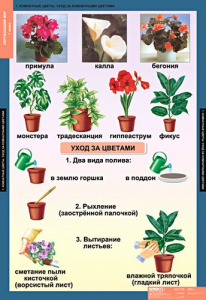 Комплект таблиц. Окружающий мир 1 класс. - fgospostavki.ru - Нижневартовск