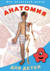 DVD "Анатомия для детей" - fgospostavki.ru - Нижневартовск