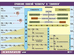 Таблица демонстрационная "Сравнение понятий изомер и гомолог" (винил 70x100) - fgospostavki.ru - Нижневартовск