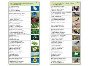 Комплект карточек (10) "Обучающий калейдоскоп. Природа" - fgospostavki.ru - Нижневартовск