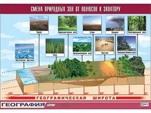 Таблица демонстрационная "Смена природных зон от полюсов к экватору" (винил 70*100) - fgospostavki.ru - Нижневартовск