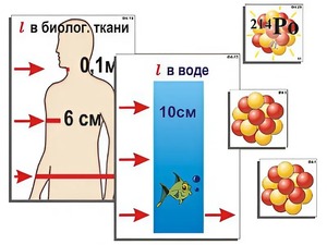 Модель-аппликация "Явление радиоактивности" (ламинированная) - fgospostavki.ru - Нижневартовск