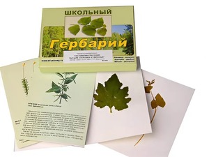 Гербарий "Систематика растений. Высшие споровые и семенные" (раздаточный) - fgospostavki.ru - Нижневартовск