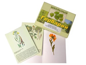Гербарий "Систематика растений. Семейство Пасленовые. Крестоцветные. Сложноцветные" (раздаточный) - fgospostavki.ru - Нижневартовск