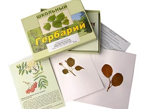 Гербарий "Систематика растений. Семейство Розоцветные" (раздаточный) - fgospostavki.ru - Нижневартовск