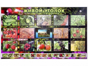 Комплект оборудования "Живой уголок" (растения) с тифлопереводом и сурдокомментариями - fgospostavki.ru - Нижневартовск