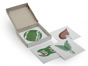 Модель-аппликация "Размножение папоротника" (набор из 8 карт) - fgospostavki.ru - Нижневартовск