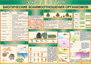 Таблица "Биотические взаимоотношения организмов" (100х140 сантиметров, винил) - fgospostavki.ru - Нижневартовск