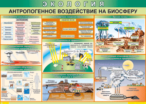 Таблица "Антропогенное воздействие на биосферу" (100х140 сантиметров, винил) - fgospostavki.ru - Нижневартовск