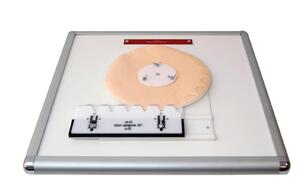 Комплекс "Изучение зубьев" - fgospostavki.ru - Нижневартовск