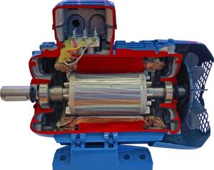 Учебная модель «Электродвигатель асинхронный в разрезе» - fgospostavki.ru - Нижневартовск