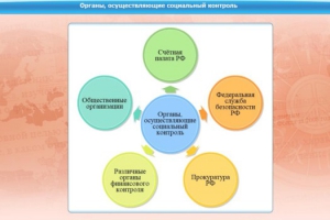 Интерактивные курсы. Обществознание 10 класс. Базовый - fgospostavki.ru - Нижневартовск