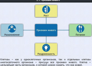 Интерактивные курсы. Биология 5 класс. Базовый - fgospostavki.ru - Нижневартовск