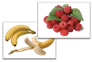 Дидактическое пособие "Фрукты, ягоды, орехи" (24 карточки) - fgospostavki.ru - Нижневартовск