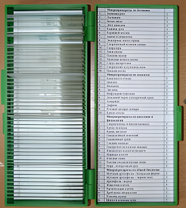 Набор микропрепаратов - fgospostavki.ru - Нижневартовск