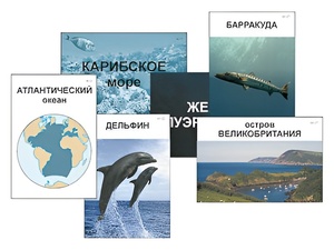 Модель-аппликация "Океаны. Знакомство" (ламинированная) - fgospostavki.ru - Нижневартовск