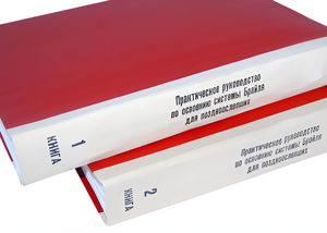 Практическое руководство по освоению системы Брайля для поздноослепших в 2-х книгах - fgospostavki.ru - Нижневартовск