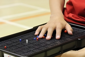 Сетка для игры тактильная (Бочча) - fgospostavki.ru - Нижневартовск