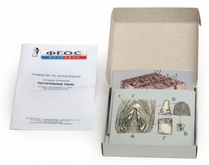 Модель-аппликация "Растительные ткани" (набор из 15 карт) - fgospostavki.ru - Нижневартовск