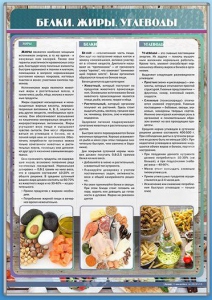Стенд "Белки. Жиры. Углеводы" - fgospostavki.ru - Нижневартовск