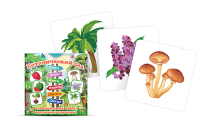 Набор карточек "Ботанический сад" - fgospostavki.ru - Нижневартовск