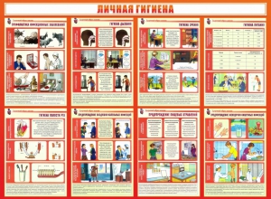 Стенд "Личная гигиена" - fgospostavki.ru - Нижневартовск
