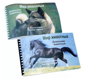 Пособие для слабовидящих - Домашние животные - fgospostavki.ru - Нижневартовск