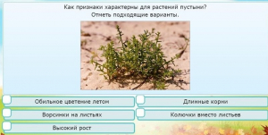 Интерактивные курсы. Окружающий мир 3 класс . Базовый. - fgospostavki.ru - Нижневартовск