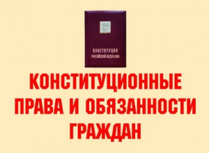 Комплект плакатов "Конституционные права и обязанности граждан" - fgospostavki.ru - Нижневартовск