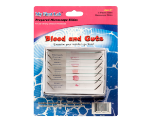 Набор микропрепаратов для микроскопа №1 «Человек» - fgospostavki.ru - Нижневартовск