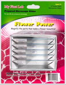 Набор микропрепаратов для микроскопа №6 «Цветы» - fgospostavki.ru - Нижневартовск