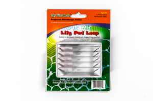 Набор микропрепаратов для микроскопа №7 «Лягушка» - fgospostavki.ru - Нижневартовск