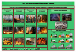Стенд-планшет электрифицированный «Виды лесных пожаров»  - fgospostavki.ru - Нижневартовск