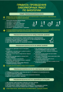 Стенд "Правила выполнения лабораторных работ по биологии" Вариант 1 - fgospostavki.ru - Нижневартовск