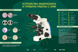 Электрифицированный стенд "Устройство микроскопа и правила работы c ним" - fgospostavki.ru - Нижневартовск