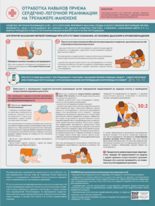 Стенд "Отработка приемов сердечно-легочной реанимации на тренажере-манекене" - fgospostavki.ru - Нижневартовск