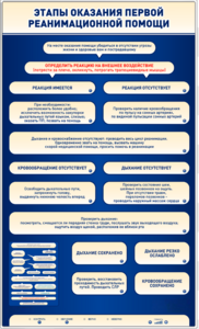 Электрифицированный стенд-тренажер "Этапы оказания первой реанимационной помощи" - fgospostavki.ru - Нижневартовск