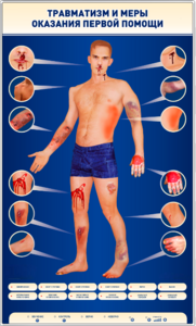 Электрифицированный стенд-тренажер "Травматизм и меры оказания первой помощи" - fgospostavki.ru - Нижневартовск