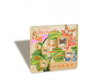 Панель «Жизненный цикл бабочки» - fgospostavki.ru - Нижневартовск